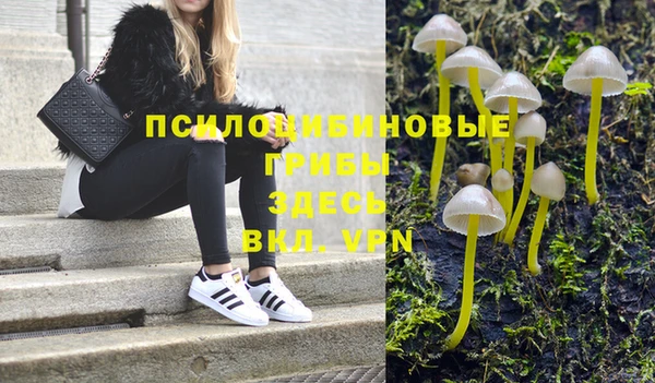 молекула духа Белокуриха
