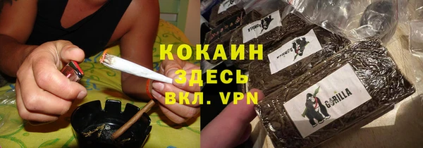 молекула духа Белокуриха